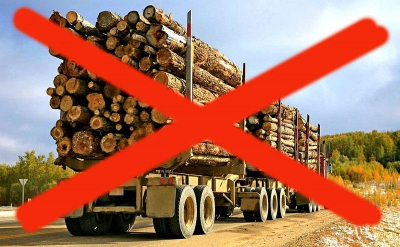 Аналитики предупреждают о возможной остановке поставок лесопродукции по всему миру